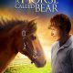 A Horse Called Bear