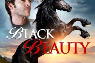 Black Beauty (2015)