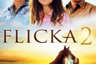 Flicka 2 (2010)