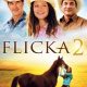 Flicka 2 (2010)