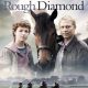 Rough Diamond (2007)