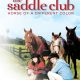 Saddle Club Horse of a Different Color