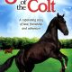 Summer of the Colt (1991)