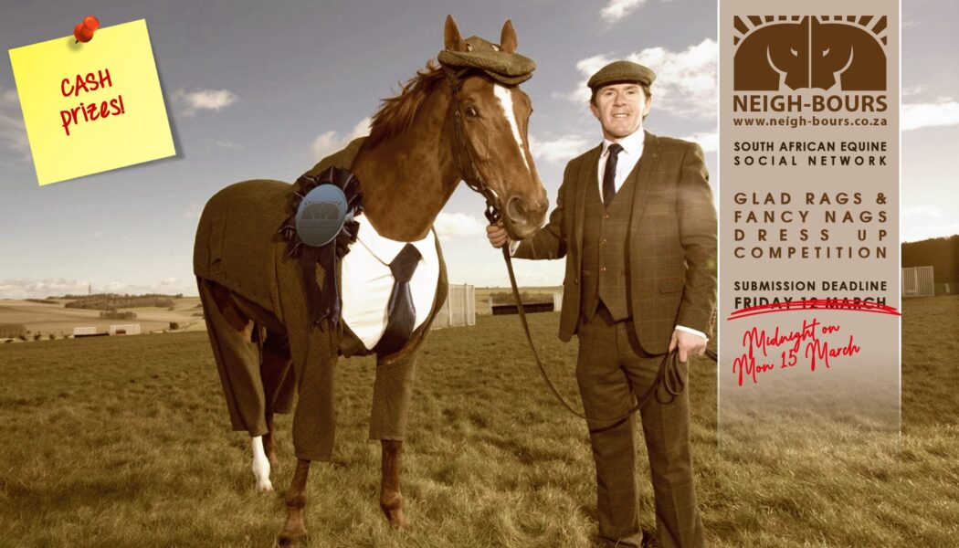 DEADLINE EXTENSION: Neigh-Bours’ second Glad Rags & Fancy Nags Online Dress Up Competition