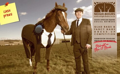 DEADLINE EXTENSION: Neigh-Bours’ second Glad Rags & Fancy Nags Online Dress Up Competition