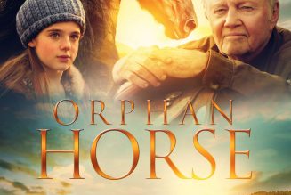 Orphan Horse (2018)