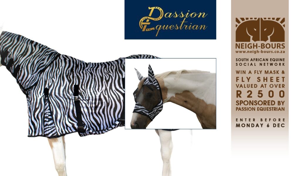 WIN a Fly Mask & Fly Sheet sponsored by Passion Equestrian