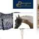 WIN a Fly Mask & Fly Sheet sponsored by Passion Equestrian