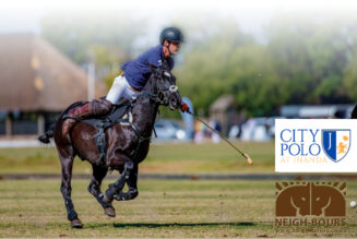 WIN Polo Lessons valued at R4400