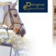 WIN a Freedom Bridle sponsored by Passion Equestrian