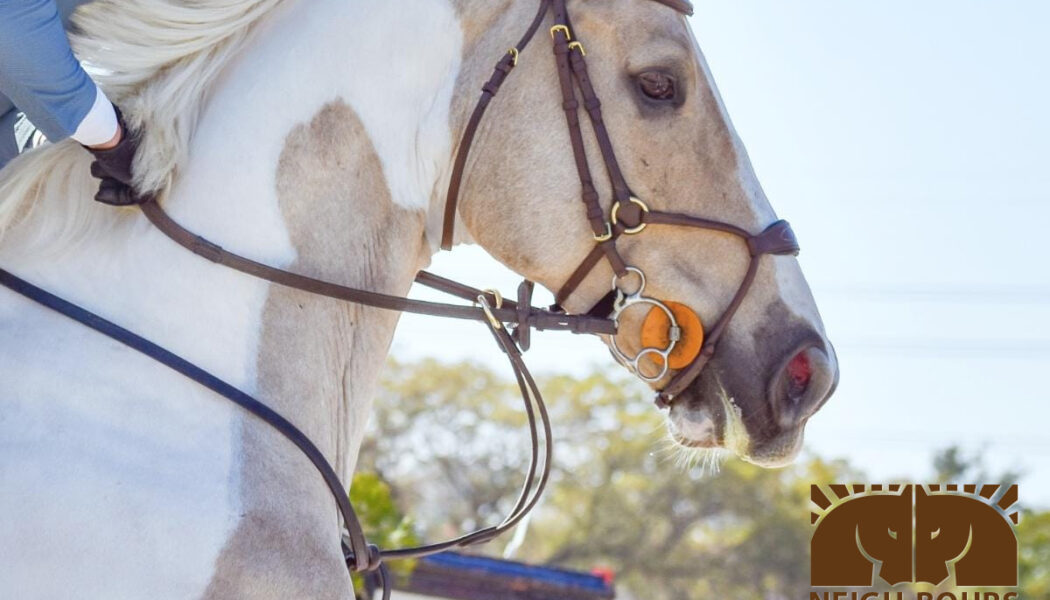 WINNERS DRAWING: Passion Equestrian Freedom Bridle