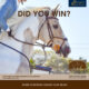WINNERS DRAWING: Passion Equestrian Freedom Bridle